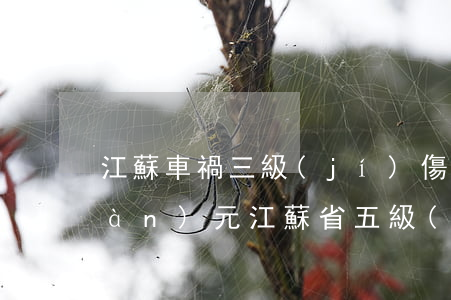 江蘇車禍三級(jí)傷殘賠償多少萬(wàn)元(江蘇省五級(jí)傷殘一次性賠償多少錢)