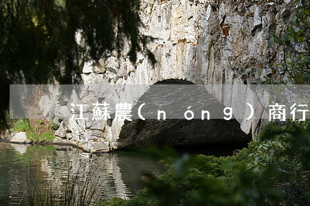 江蘇農(nóng)商行信用卡逾期1天
