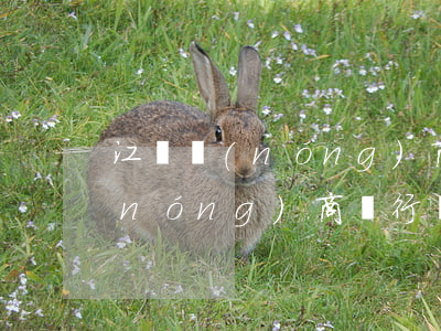 江蘇農(nóng)商行房貸逾期一天(農(nóng)商銀行貸款,逾期一天,您的逾期記錄將)