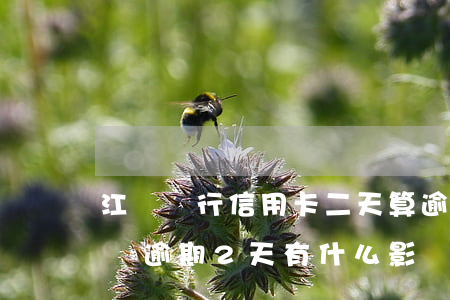 江蘇銀行信用卡二天算逾期嗎 江蘇銀行隨意貸逾期2天有什么影響