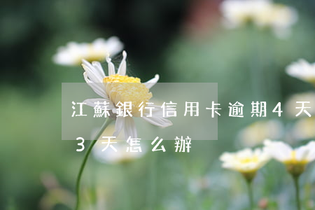 江蘇銀行信用卡逾期4天怎么辦(銀行卡逾期3天怎么辦)