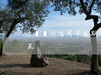 江蘇銀行信用卡逾期了三天(信用卡逾期兩三天)