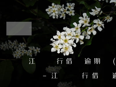 江蘇銀行借貸逾期協(xié)商多久給回復-江蘇銀行借貸逾期協(xié)商多久給回復函