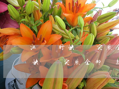 江蘇銀行快貸讓突然全部還款嗎-江蘇銀行快貸讓突然全部還款嗎是真的嗎