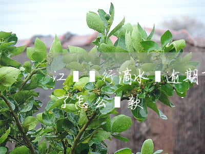 江蘇銀行滴水貸逾期了(江蘇銀行滴水貸逾期了怎么還款)