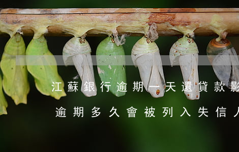 江蘇銀行逾期一天還貸款影響個人征信嗎-逾期多久會被列入失信人名單