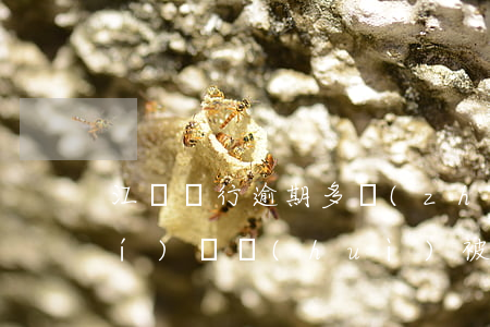 江蘇銀行逾期多長(zhǎng)時(shí)間會(huì)被起訴-