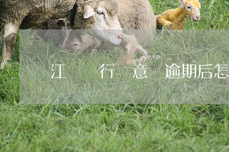 江蘇銀行隨意貸逾期后怎樣還款-