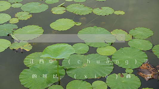 江西中創(chuàng)法務(wù)真的可以協(xié)商還款嗎-江西中創(chuàng)法律咨詢(xún)有限公司