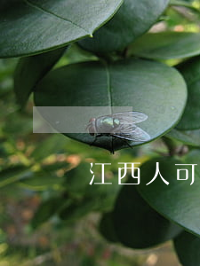 江西人可以跨省離婚嗎(跨省能離婚嗎)