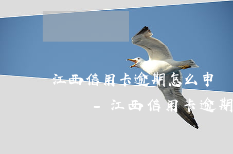 江西信用卡逾期怎么申請(qǐng)停息掛賬-江西信用卡逾期怎么申請(qǐng)停息掛賬的