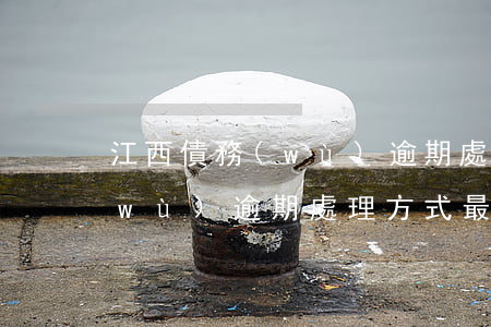 江西債務(wù)逾期處理方式 江西債務(wù)逾期處理方式最新