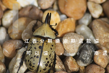 江西分期樂逾期還款協(xié)商(分期樂可以協(xié)商還款)