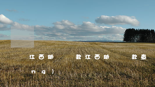 江西助學貸款(江西助學貸款查詢系統(tǒng))