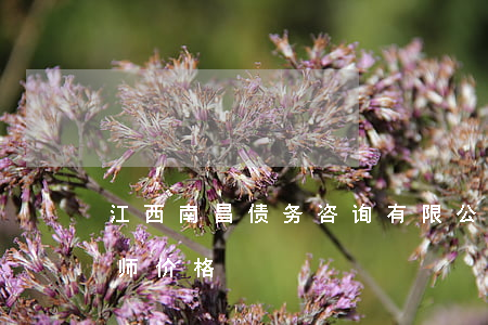 江西南昌债务咨询有限公司（南昌债务纠纷律师价格）