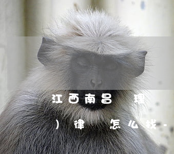 江西南昌處理債權(quán)債務(wù)律師怎么找-南昌債務(wù)處理公司
