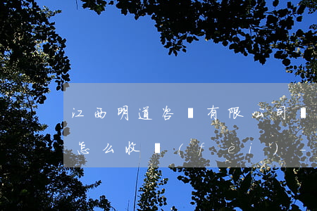江西明道咨詢有限公司協(xié)商還款怎么收費(fèi)-江西明道信息咨詢有限公司怎么樣