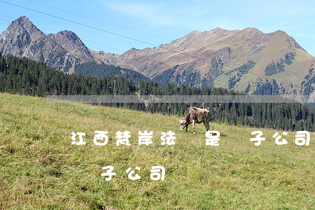 江西梵岸法務是騙子公司嗎(江西梵岸法務是騙子公司嗎)