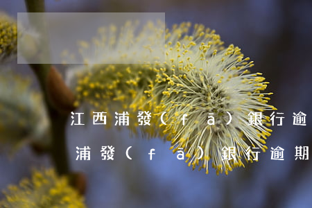 江西浦發(fā)銀行逾期了怎么辦-江西浦發(fā)銀行逾期了怎么辦