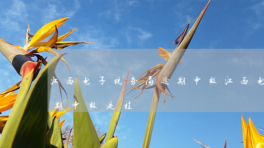 江西电子税务局逾期申报(江西电子税务局逾期申报流程)