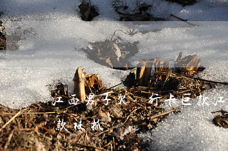 江西男子欠銀行卡巨款(江西男子欠銀行卡巨款被抓)