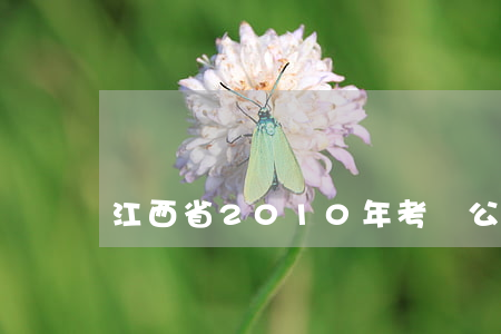 江西省2010年考錄公務員調劑公告