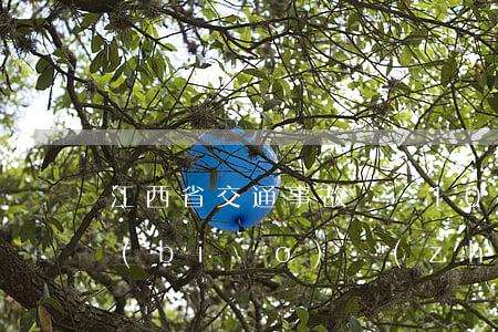 江西省交通事故傷殘10級(jí)賠償標(biāo)準(zhǔn)(江西省傷殘等級(jí)評(píng)定標(biāo)準(zhǔn)及賠償標(biāo)準(zhǔn))