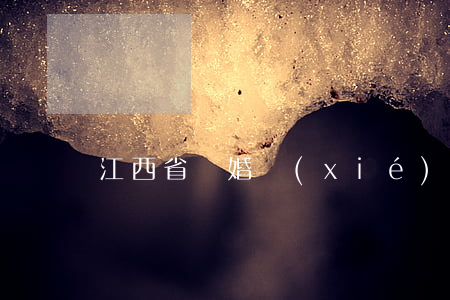 江西省離婚協(xié)議模版
