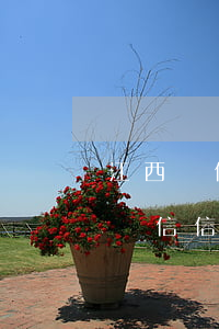 江西眾信信用管理有限公司處理逾期-江西眾信信用管理有限公司處理逾期電話