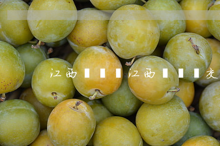 江西紅綠燈(江西紅綠燈交通違章查詢)
