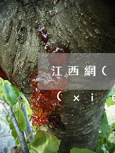 江西網(wǎng)貸負(fù)債逾期協(xié)商(網(wǎng)貸逾期能不能協(xié)商解決)
