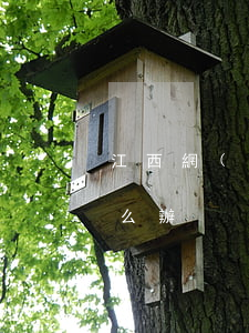 江西網(wǎng)貸負(fù)債逾期怎么辦