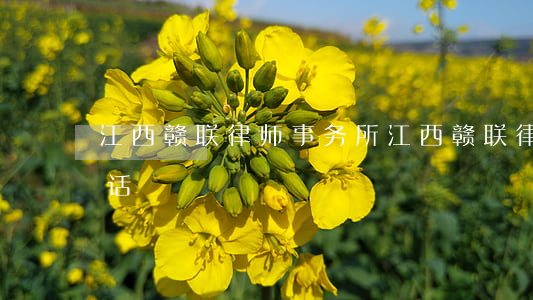 江西赣联律师事务所(江西赣联律师事务所电话)