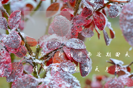 江西銀行信用卡逾期四天怎么辦-江西銀行信用卡逾期四天怎么辦理