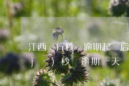 江西銀行秒貸逾期起訴后果(江西銀行手機(jī)秒貸逾期一天會(huì)上征信嗎)