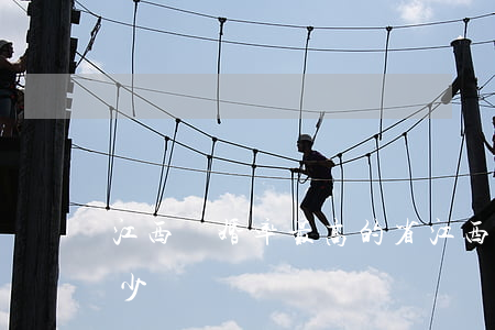 江西離婚率最高的省(江西省的離婚比例是多少)