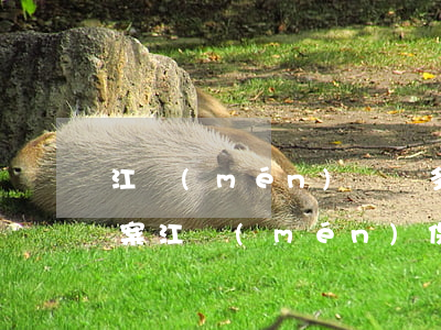 江門(mén)詐騙多少錢(qián)立案(江門(mén)保險(xiǎn)詐騙案)