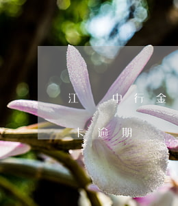 江門中行金融信用卡逾期(江門中行金融信用卡逾期)