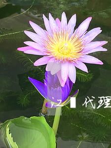 江門代理勞動報酬糾紛律師