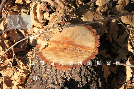 江門個人債務逾期案例(江門個人債務逾期案例)