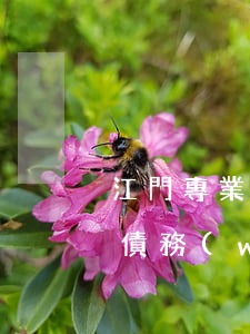 江門專業(yè)辦涉外債權(quán)債務(wù)律師團(tuán)隊(duì)-江門外海律師事務(wù)所