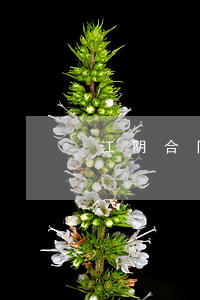 江阴合同违约起诉律师怎么找再审