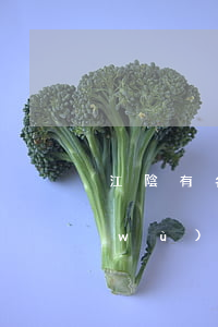 江陰有名刑事律師(江蘇省江陰市律師事務(wù)所電話號碼)