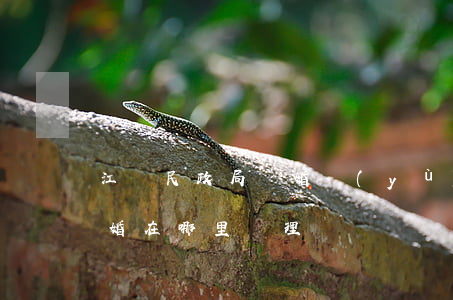 江陰民政局離婚預(yù)約登記(江陰市離婚在哪里辦理)