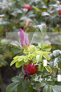 江陰青陽律師事務(wù)所哪個(gè)好(江陰青陽律師事務(wù)所哪個(gè)好)