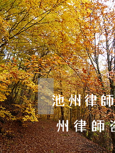 池州律師事務(wù)所哪個(gè)好(池州律師咨詢電話)