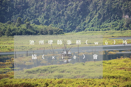 池州律師事務(wù)所哪個好(池州市律師協(xié)會)
