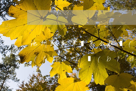 池州民事律師怎么收費(fèi)(律師收費(fèi)標(biāo)準(zhǔn))