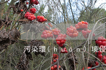 污染環(huán)境侵權民事訴訟問題