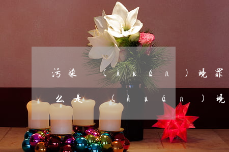 污染環(huán)境罪公益訴訟可以嗎(什么是環(huán)境公益訴訟)